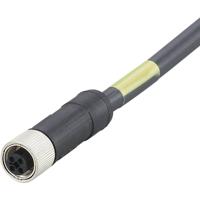 ifm Electronic E12496 Aansluitkabel Aantal polen (sensoren): 4 Bus, recht 10 m 1 stuk(s)