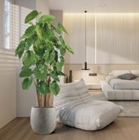 Alocasia Calidora Giant deluxe kunstboom 210cm