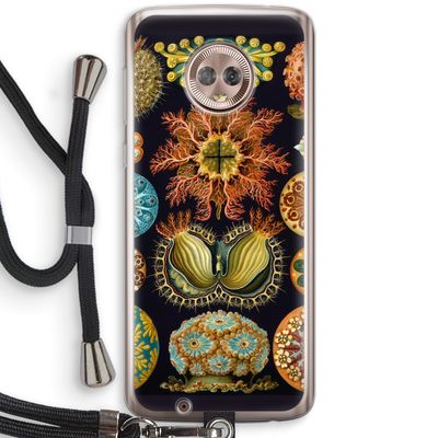 Haeckel Ascidiae: Motorola Moto G6 Transparant Hoesje met koord