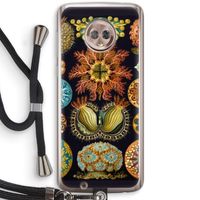 Haeckel Ascidiae: Motorola Moto G6 Transparant Hoesje met koord