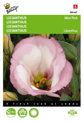 Lisianthus mini rose Tuinplus - Buzzy