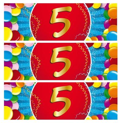 5 jaar leeftijd sticker - 5x - 19 x 6 cm - verjaardag versiering - feestartikelen