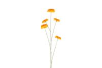 Decostar Countryfield Kunstbloem bloem Zinnia geel