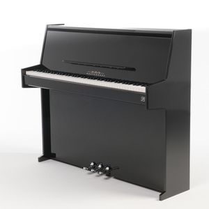 Oostendorp P1 Deluxe V PE chroom digitale piano