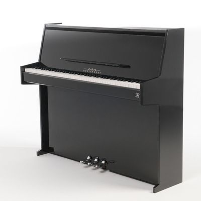 Oostendorp P1 Deluxe V PE chroom digitale piano