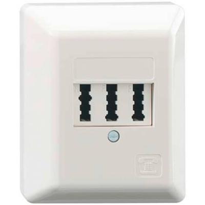 Rutenbeck TAE 2x6/6NFF Ap rw Stekkerdoos Opbouw (op muur) Wit