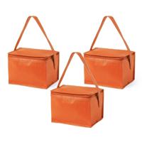 Koeltas - 5x - klein - lunch / blikjes - oranje - 21 x 15 x 15 cm - draagriem - 4 liter inhoud