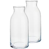 Giftdecor Bloemenvaas - Set van 2x stuks - van glas - 15 x 31 cm - Glazen transparante cilinder vaze