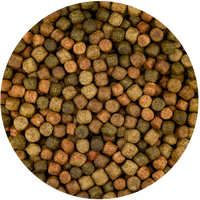Vivani Top Mix 6mm 6kg - Premium Koivoer voor Gezonde Groei & Levendige Kleuren