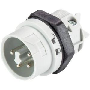 Wieland 46.052.5054.0 Ronde connector Stekker, inbouw Totaal aantal polen: 4 + PE Serie (ronde connectors): RST® MINI 1 stuk(s)