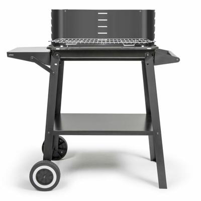 Barbecue Draagbare Livoo Roestvrij staal
