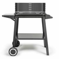 Barbecue Draagbare Livoo Roestvrij staal