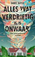 Alles wat verdrietig is, is onwaar (Paperback)
