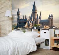 Magische school van tovenaar film fotobehang