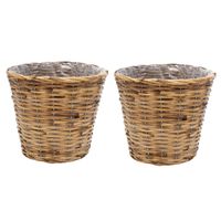 Planten/bloemen mand - 2x - rotan - lichtbruin - D19 x H16 cm - plantenpot