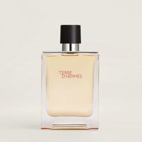 Hermès Terre d'Hermès Eau de Toilette 100ml