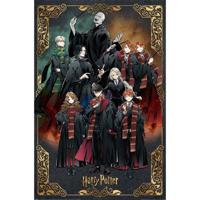 Poster Harry Potter Wizard Dynasty Characters 61x91,5cm