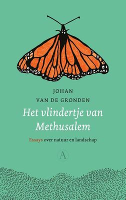 Het vlindertje van Methusalem - Johan van de Gronden - ebook