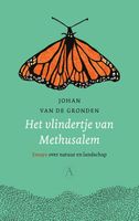 Het vlindertje van Methusalem - Johan van de Gronden - ebook - thumbnail