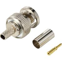 TRU COMPONENTS TC-12885936 BNC-connector Stekker, recht 50 Ω 1 stuk(s)