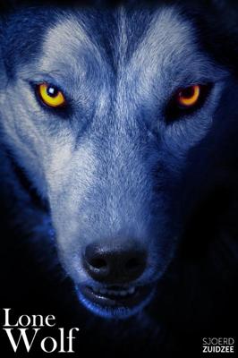 Lone wolf (Paperback)