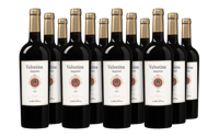 Vatencollectief Model &apos;Primitivo di Manduria&apos; 2023