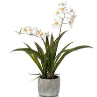 Witte orchidee Orchidaceae kunstplant in keramische pot 45 cm - thumbnail