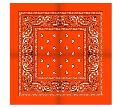 Boerenzakdoek Rain drop 54x54 - Rode zakdoek