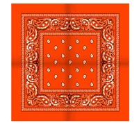 Boerenzakdoek Rain drop 54x54 - Rode zakdoek