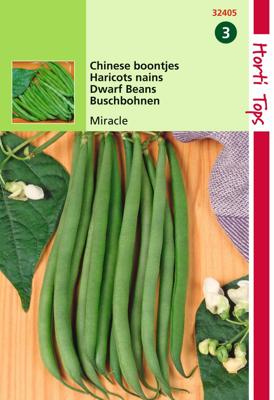 HT Stamslabonen, chinese boontjes Miracle, 25g - Hortitops