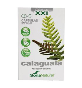 8-S Calaguala XXI