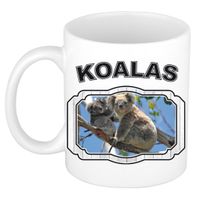 Dieren koala beer beker - koalas/ koalaberen mok wit 300 ml - thumbnail