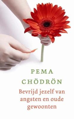 Bevrijd jezelf van angsten en oude gewoonten - Pema Chödrön - ebook
