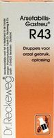 Reckeweg Arsetabilis gastreu R43 (50 ml)
