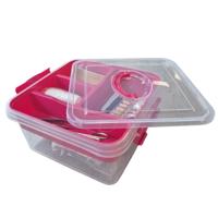 EHBO opbergdoos/medicijnkistje - 5L - rood - opbergbox met vakken - pleisters/verband