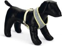 BZ PUPPY BORSTTUIG BRONDA S GRS