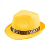 Disco hoed geel