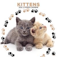 Kittens Kalender 2026