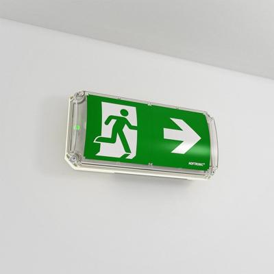 HOFTRONIC™ Robus - LED Noodverlichting met Accu - 4,2 Watt 300 Lumen - Wand/plafond-opbouw - Testknop - 6500K Daglicht Wit Licht - IP66 waterdicht - IK10 - Incl. pictogrammenset
