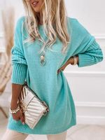 Crew Neck Plain Casual Dress - thumbnail