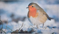 Deurmat roodborst