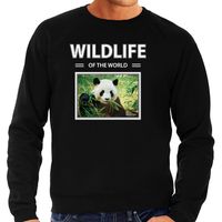 Panda sweater / trui met dieren foto wildlife of the world zwart voor heren - thumbnail
