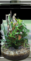 BioArt Cylinder 285 zwart