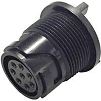 Bulgin PXP4013/08S/PC Ronde connector Bus, inbouw Totaal aantal polen: 8 Serie (ronde connectors): Buccaneer 4000 1 stuk(s) - thumbnail