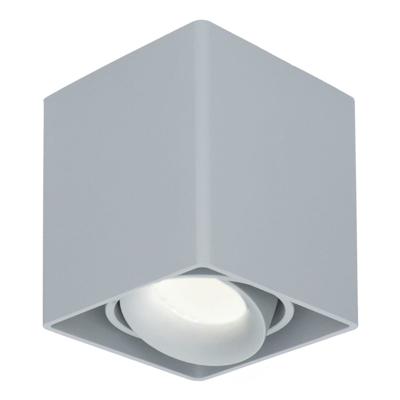 Vierkante LED Opbouwspot Esto - Kantelbaar - Dimbaar - 4000K neutraal wit - 5 Watt 400 lumen - GU10 - Plafondspot - Voor binnen - Vervangbare afdekring - Grijs