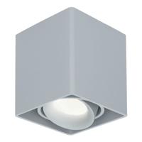 Vierkante LED Opbouwspot Esto - Kantelbaar - Dimbaar - 4000K neutraal wit - 5 Watt 400 lumen - GU10 - Plafondspot - Voor binnen - Vervangbare afdekring - Grijs