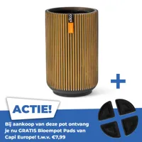 Vaas hoog groove d11h17 zwart goud