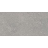 Vloertegel Pamesa Cromat Gris 60x120 cm Gerectificeerd Mat Grijs Pamesa