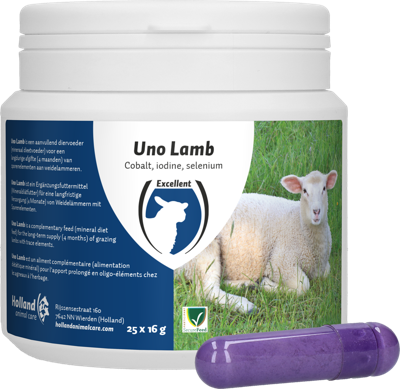 Excellent Uno Lam 25 x 16 g