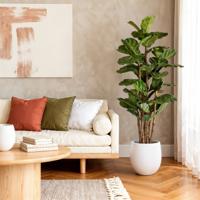 Lyrata deluxe kunstboom 165cm